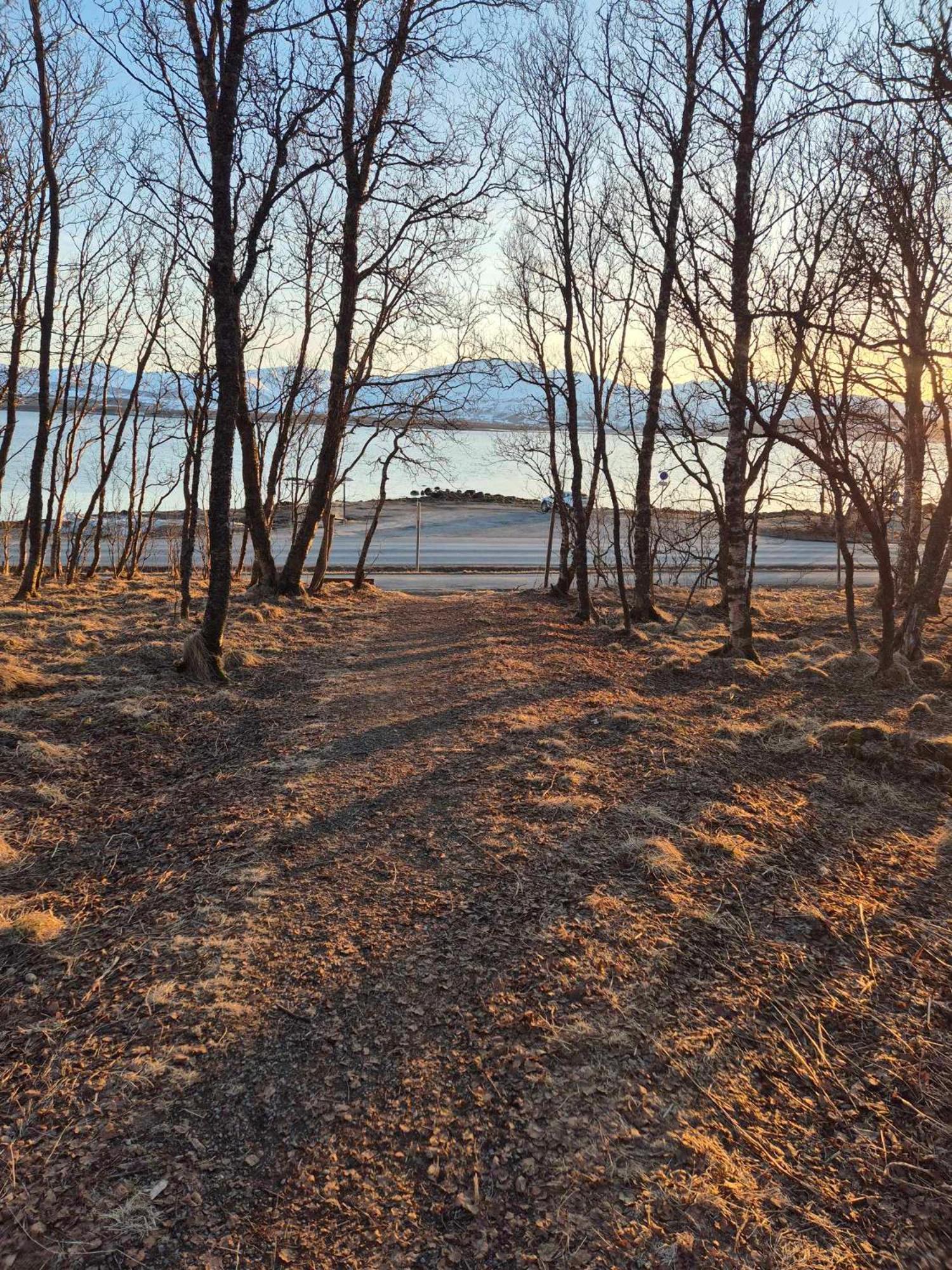 Apartment Yggdrasil Sea View Tromso